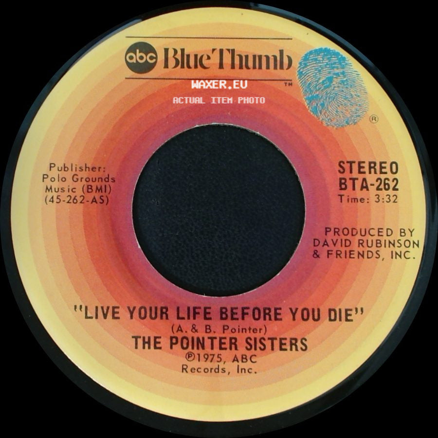 The Pointer Sisters - Live Your Life Before You Die / Shaky Flat Blues side A