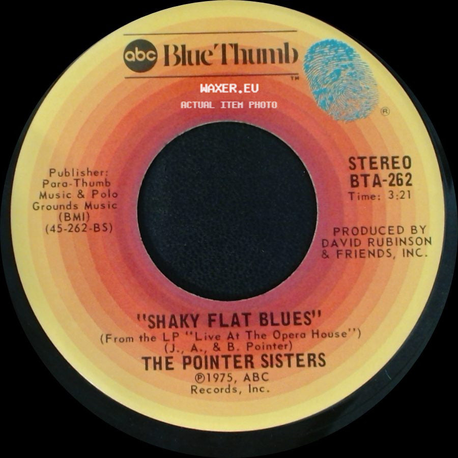 The Pointer Sisters - Live Your Life Before You Die / Shaky Flat Blues side B