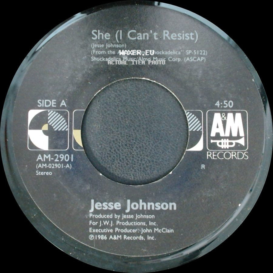 Jesse Johnson - She (I Can't Resist) / Black In America side A