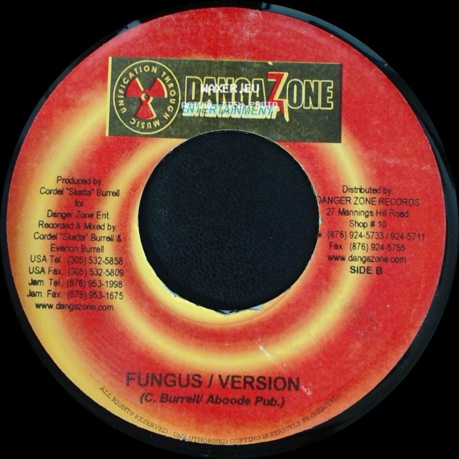 Mr Easy & Hollow Point - Burn / Fungus / Version side B