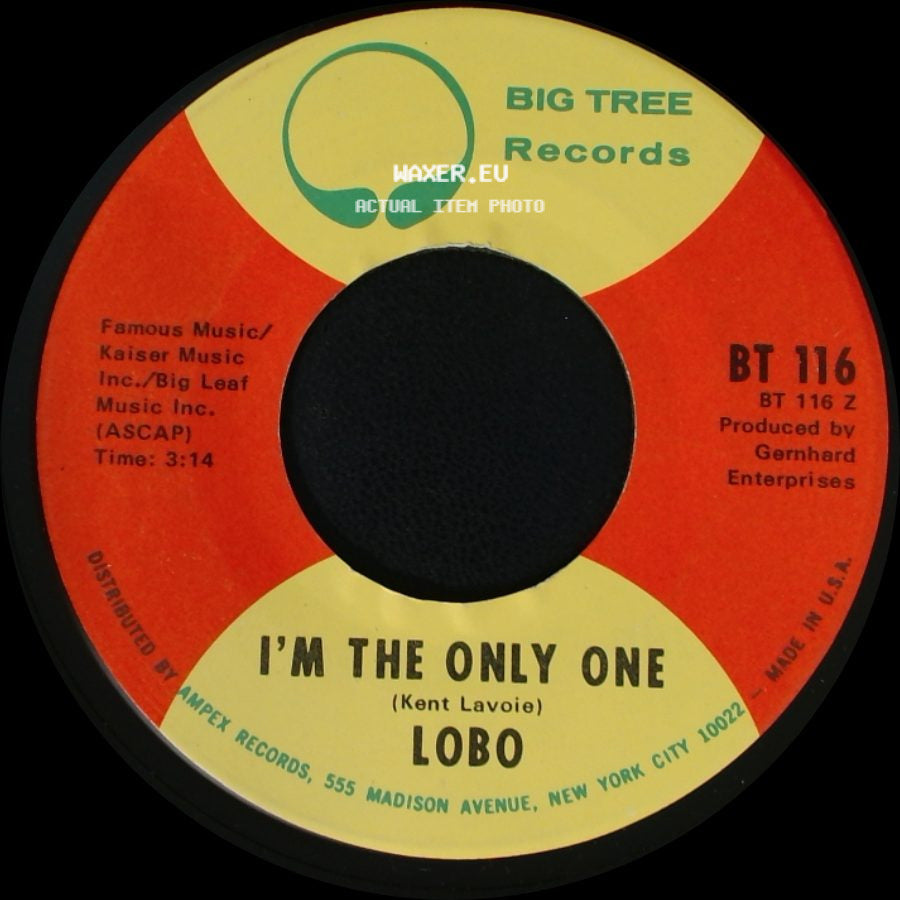 Lobo - I'm The Only One / She Didn't Do Magic side A