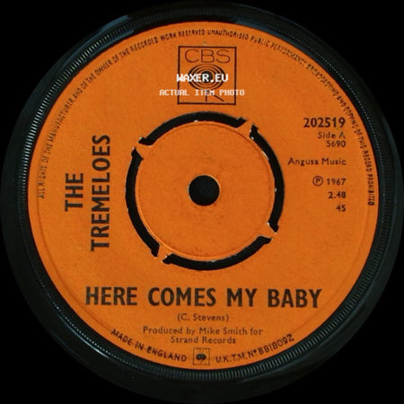 The Tremeloes - Here Comes My Baby / Gentleman Of Pleasure side A