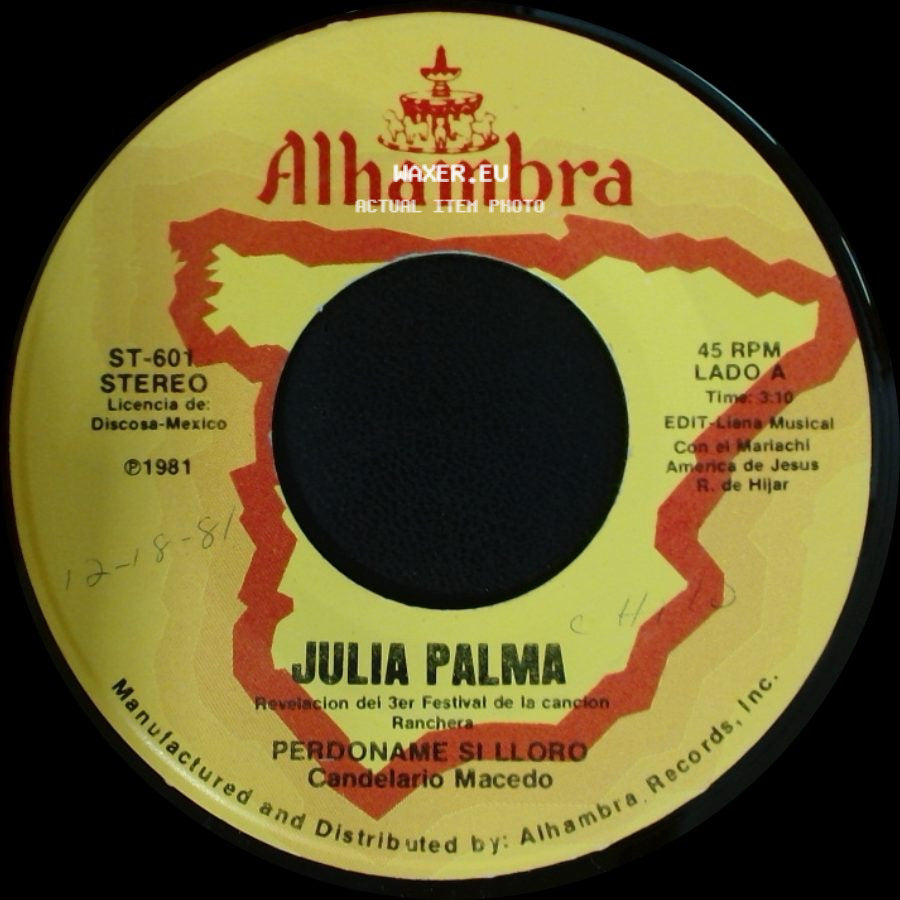 Julia Palma - Perdoname Si Lloro / Por Tu Culpa side A