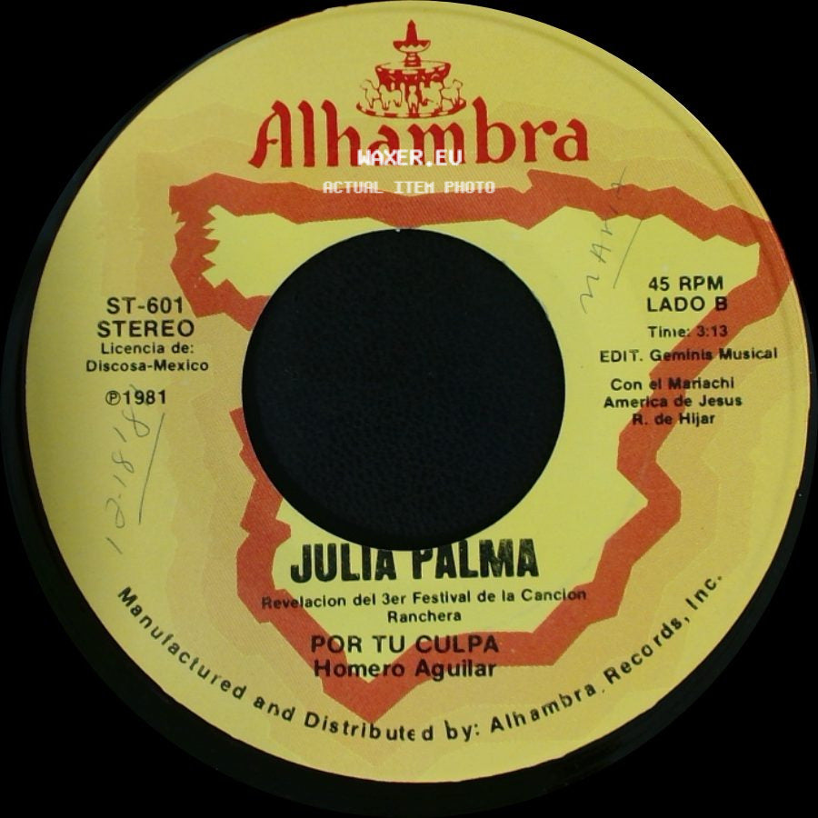 Julia Palma - Perdoname Si Lloro / Por Tu Culpa side B