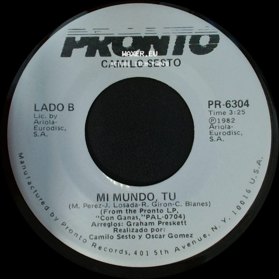 Camilo Sesto - Terciopelo Y Piedra / Mi Mundo Tu side B