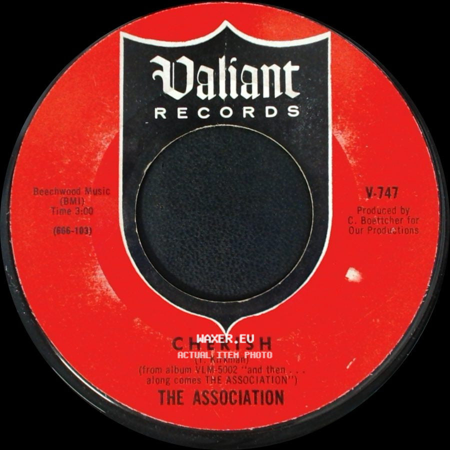 The Association - Don't Blame The Rain / Cherish side B