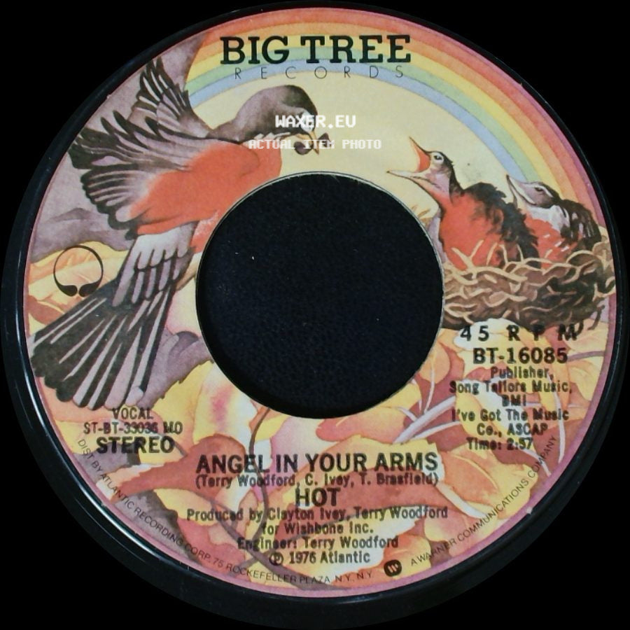 Hot - Angel In Your Arms / Just Cause I'm Guilty side A