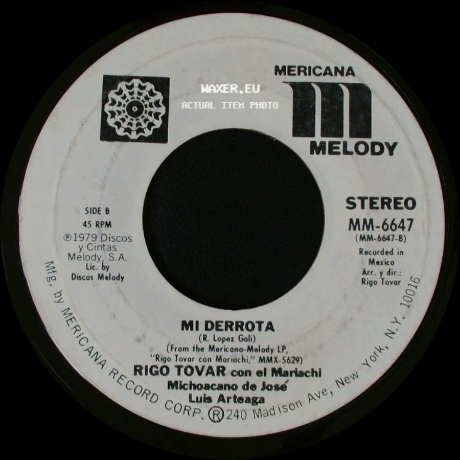 Rigo Tovar Con El Mariachi Michoacano De Jose Luis Arteaga - Una Palomita / Mi Derrota side B