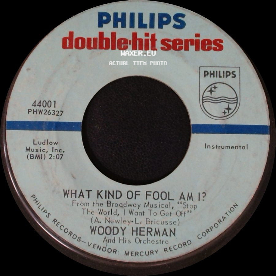 Woody Herman And His Orchestra / Woody Herman Quartet - What Kind Of Fool Am I? / Rose Room side A
