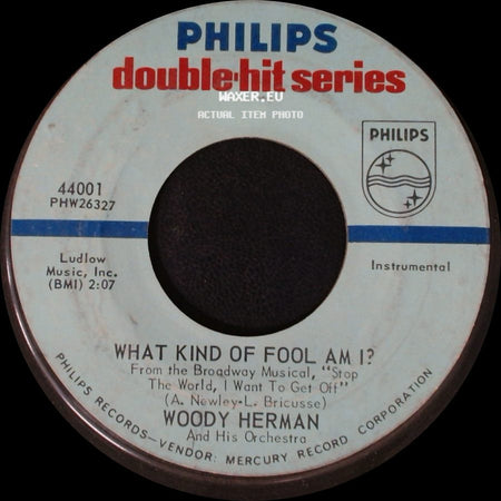 Woody Herman And His Orchestra / Woody Herman Quartet - What Kind Of Fool Am I? / Rose Room side A