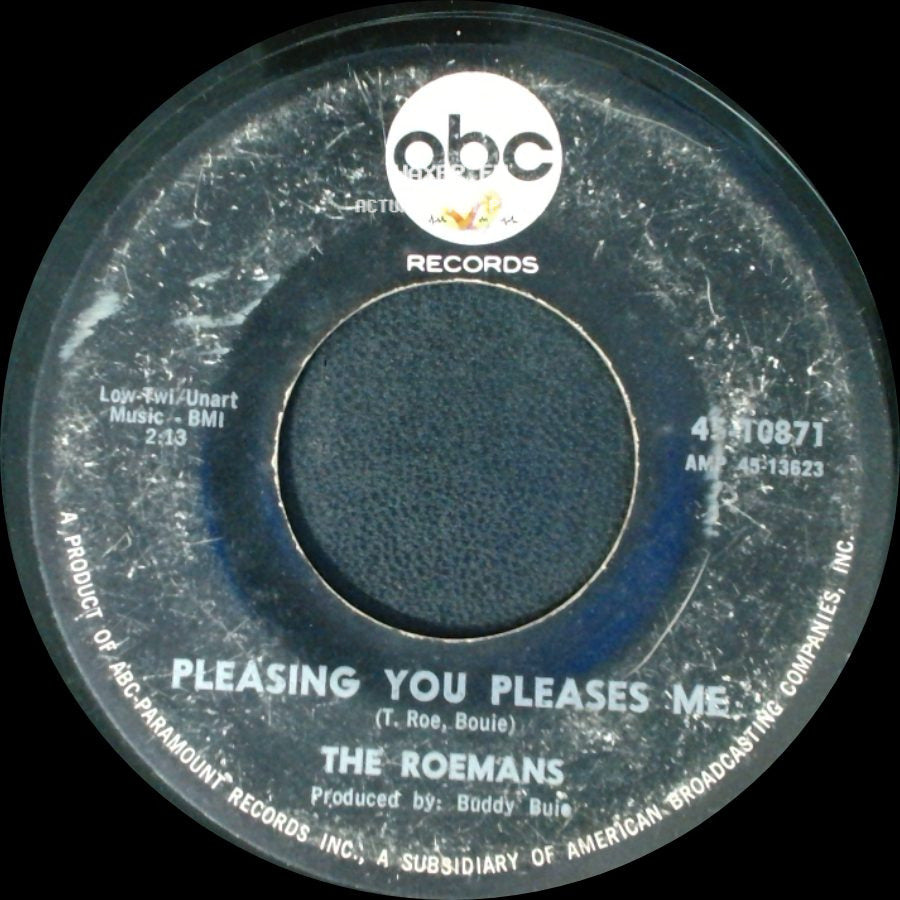 The Roemans - All The Good Things / Pleasing You Pleases Me side B