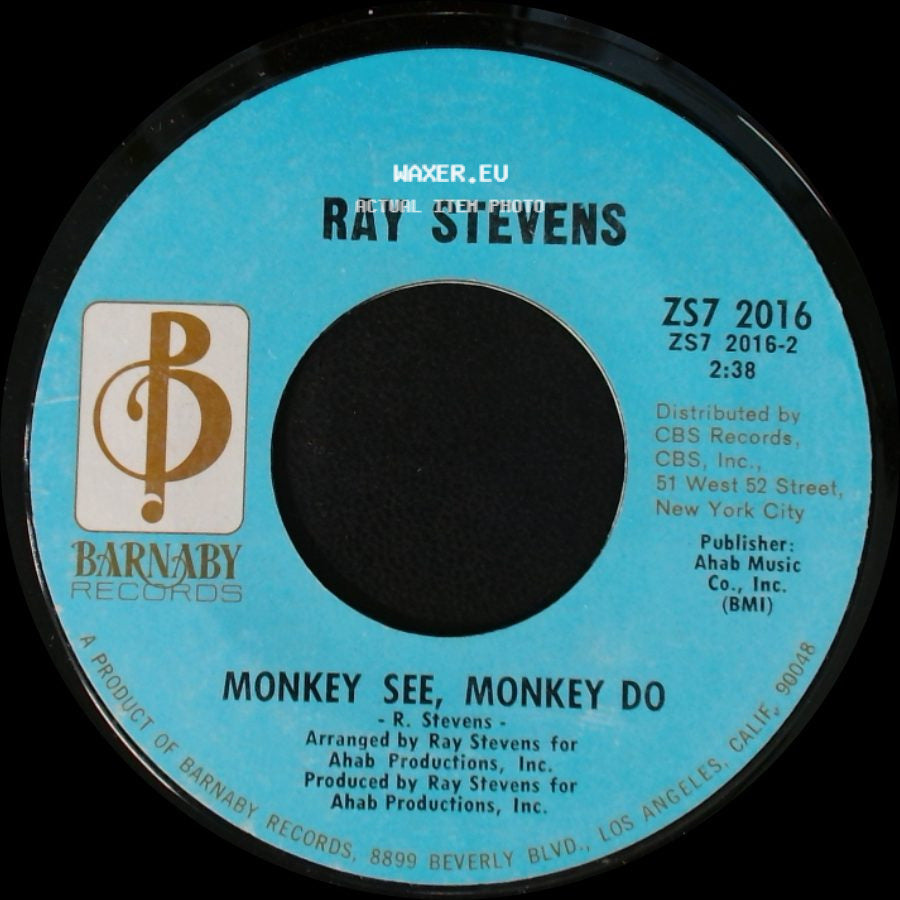 Ray Stevens - America, Communicate With Me / Monkey See, Monkey Do side B