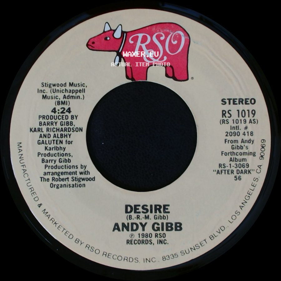 Andy Gibb - Waiting For You / Desire side B