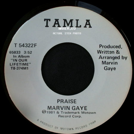 Marvin Gaye - Praise / Praise side B