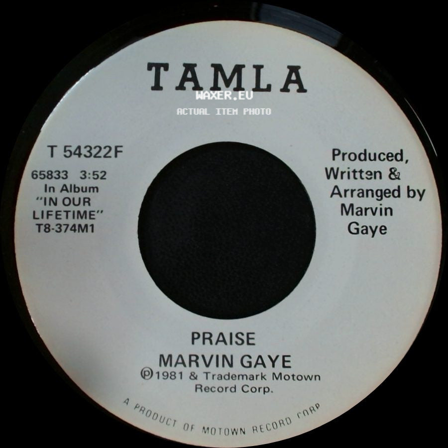 Marvin Gaye - Praise / Praise side B