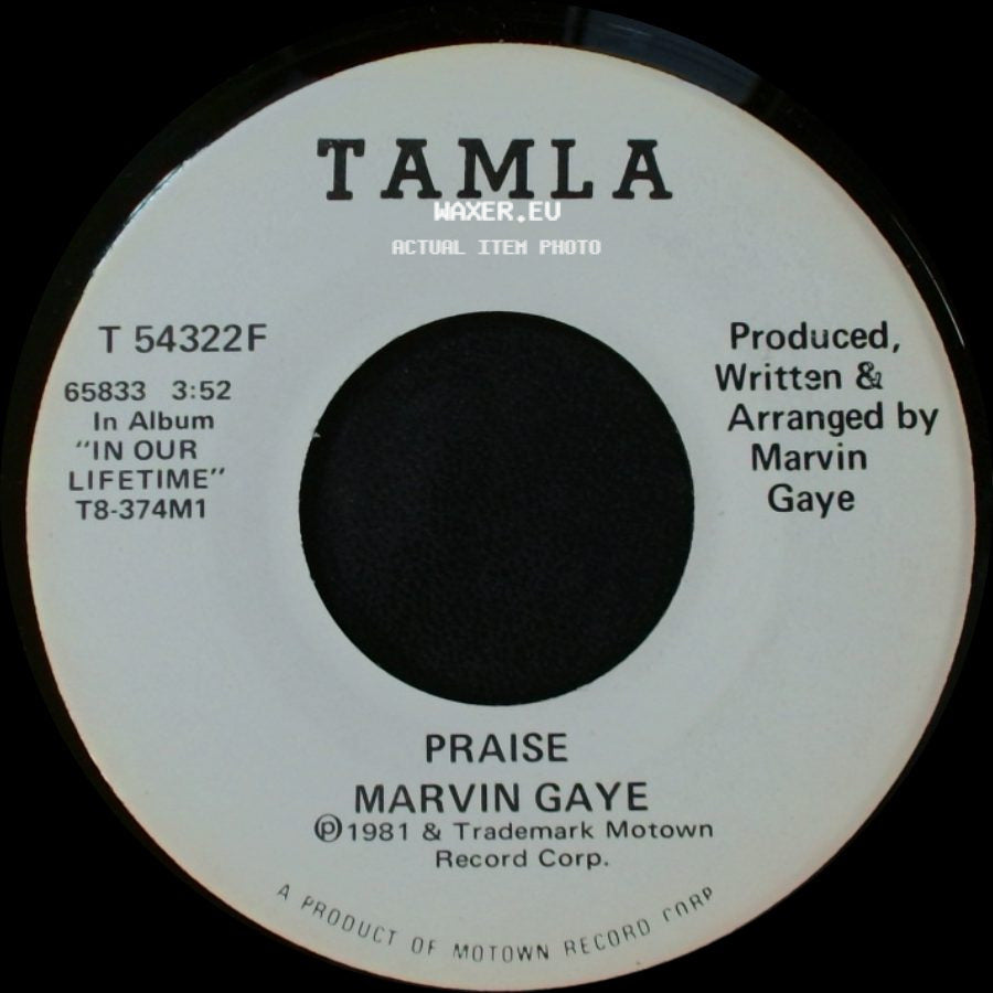 Marvin Gaye - Praise / Praise side B