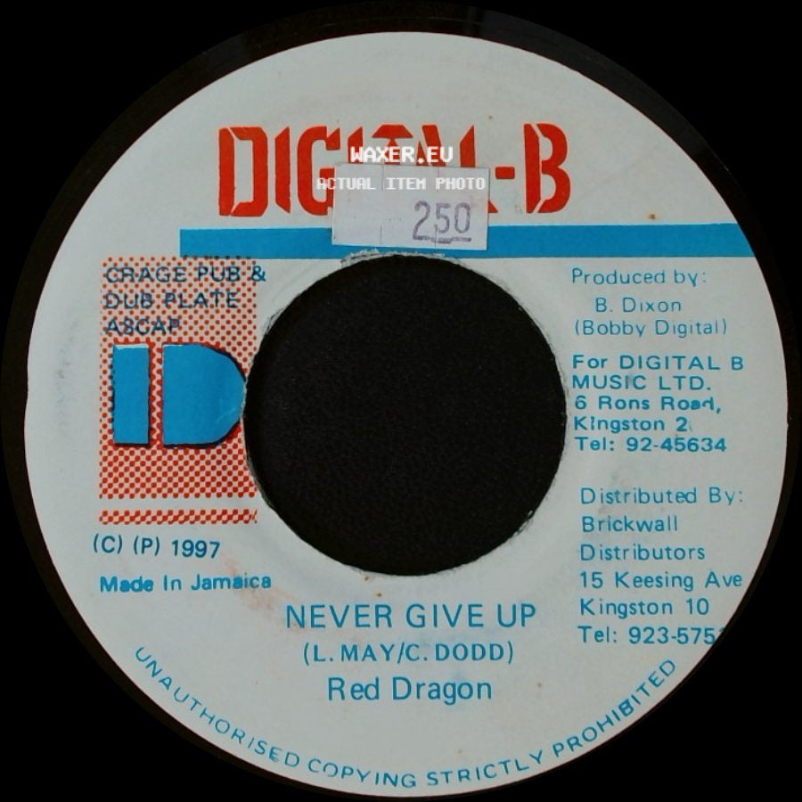Red Dragon - Unknown Title A / Never Give Up side B