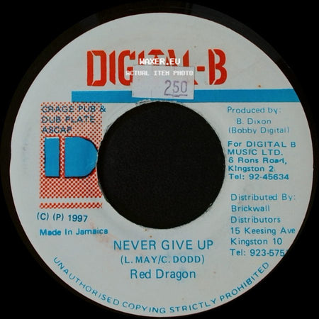 Red Dragon - Unknown Title A / Never Give Up side B