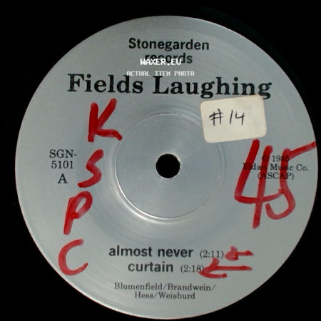 Fields Laughing - Almost Never / Curtain / New Falling side A