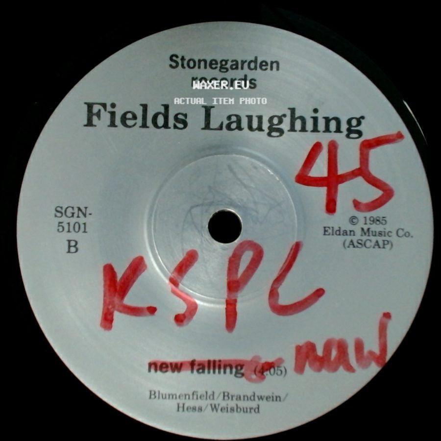 Fields Laughing - Almost Never / Curtain / New Falling side B