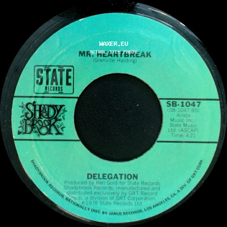 Delegation - Mr. Heartbreak / Someone Oughta Write A Song (About You Baby) side A