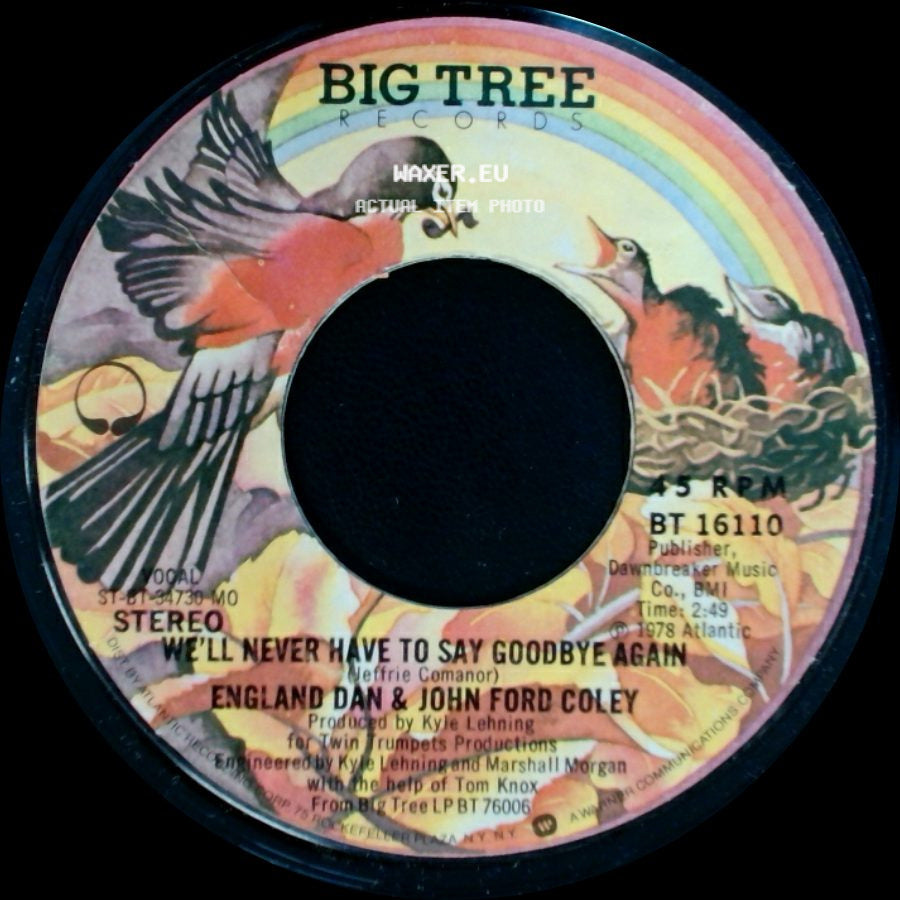 England Dan & John Ford Coley - We'll Never Have To Say Goodbye Again / Calling For You Again side A