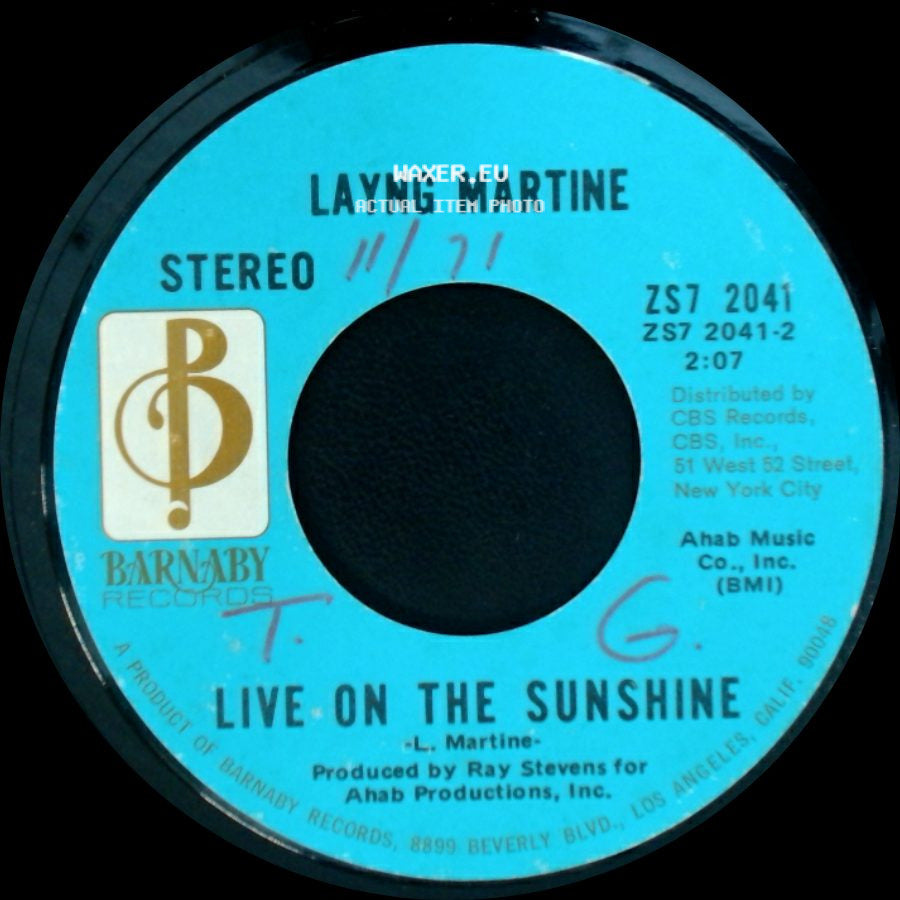 Layng Martine - Rub It In / Live On The Sunshine side B