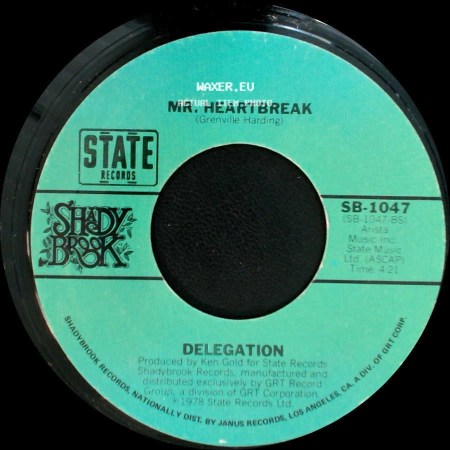Delegation - Someone Oughta Write A Song (About You Baby) / Mr. Heartbreak side B
