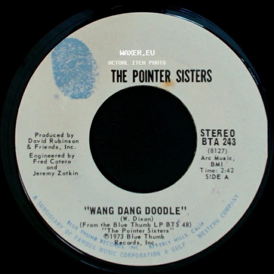 The Pointer Sisters - Wang Dang Doodle / Cloudburst side A