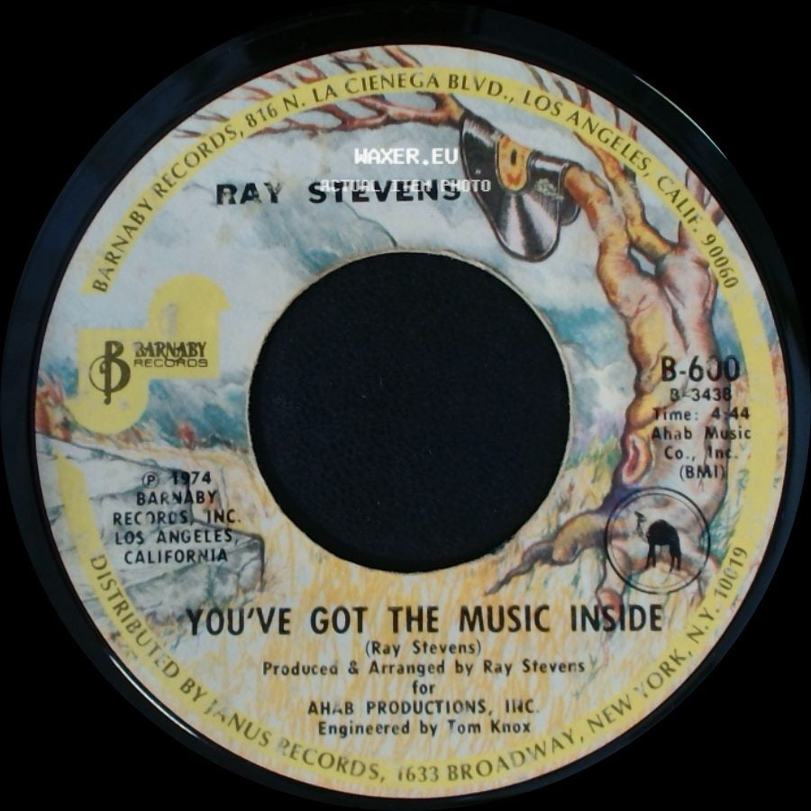 Ray Stevens - You've Got The Music Inside / The Streak side A