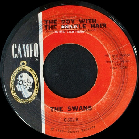 The Swans - The Boy With The Beatle Hair / Please Hurry Home side A