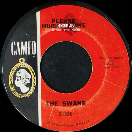 The Swans - The Boy With The Beatle Hair / Please Hurry Home side B