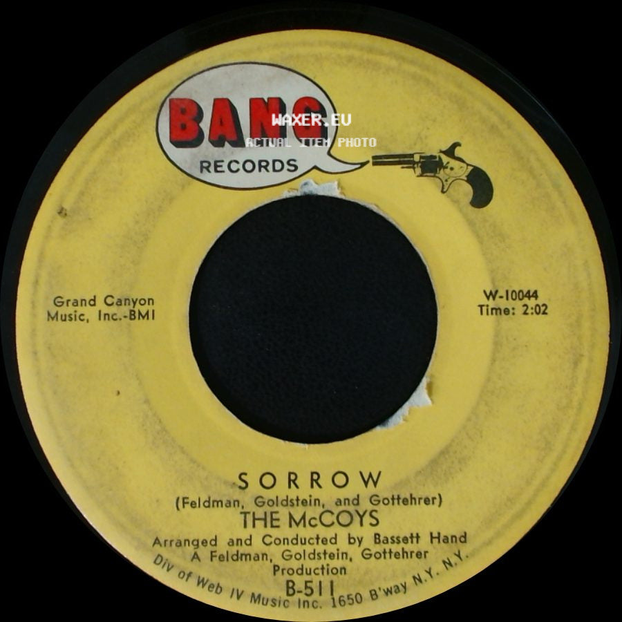 The Mccoys - Sorrow / Fever side A
