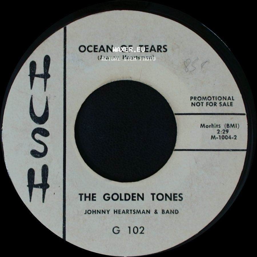 The Golden Tones - You Left Me Here To Cry Alone / Ocean Of Tears side B
