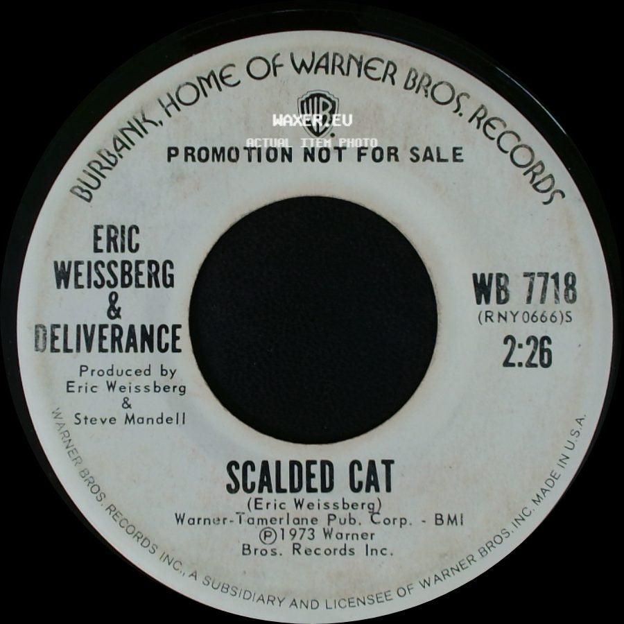 Eric Weissberg & Deliverance - Scalded Cat / Reuben's Train side A