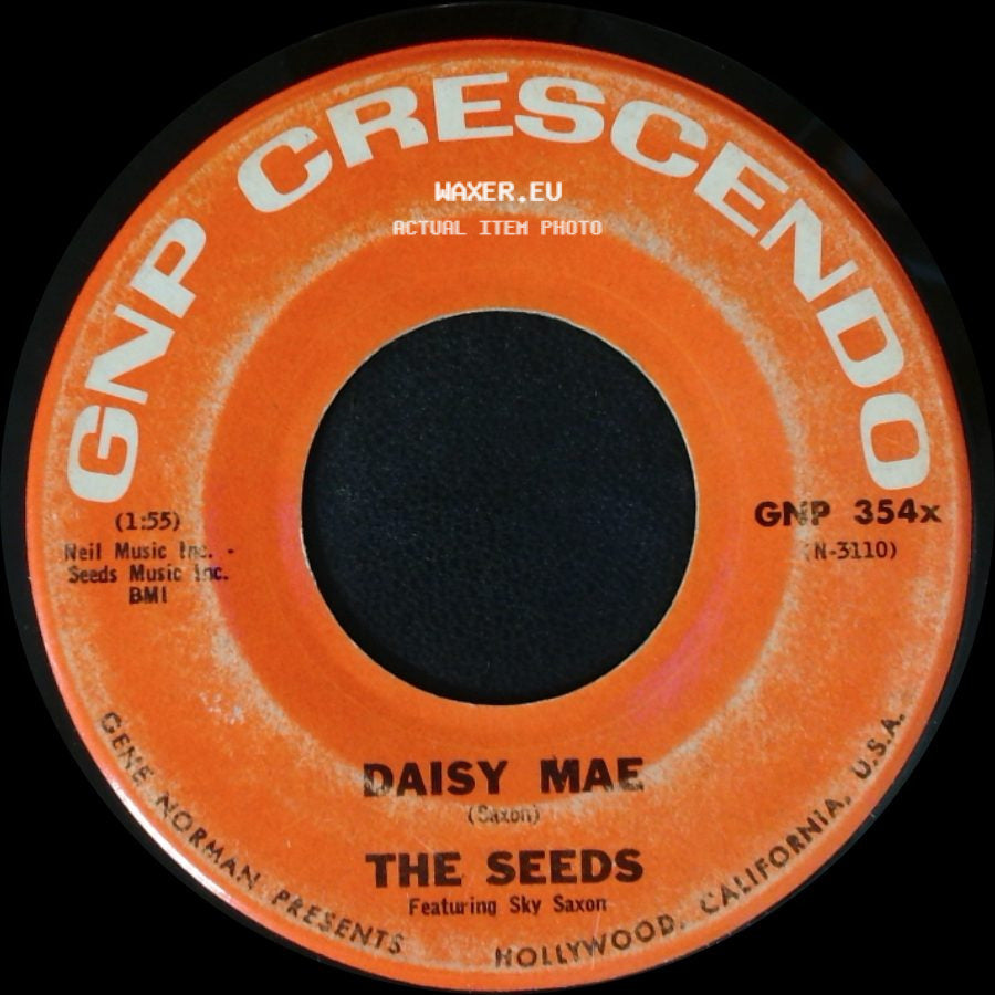 The Seeds - Daisy Mae / Can't Seem To Make You Mine side A