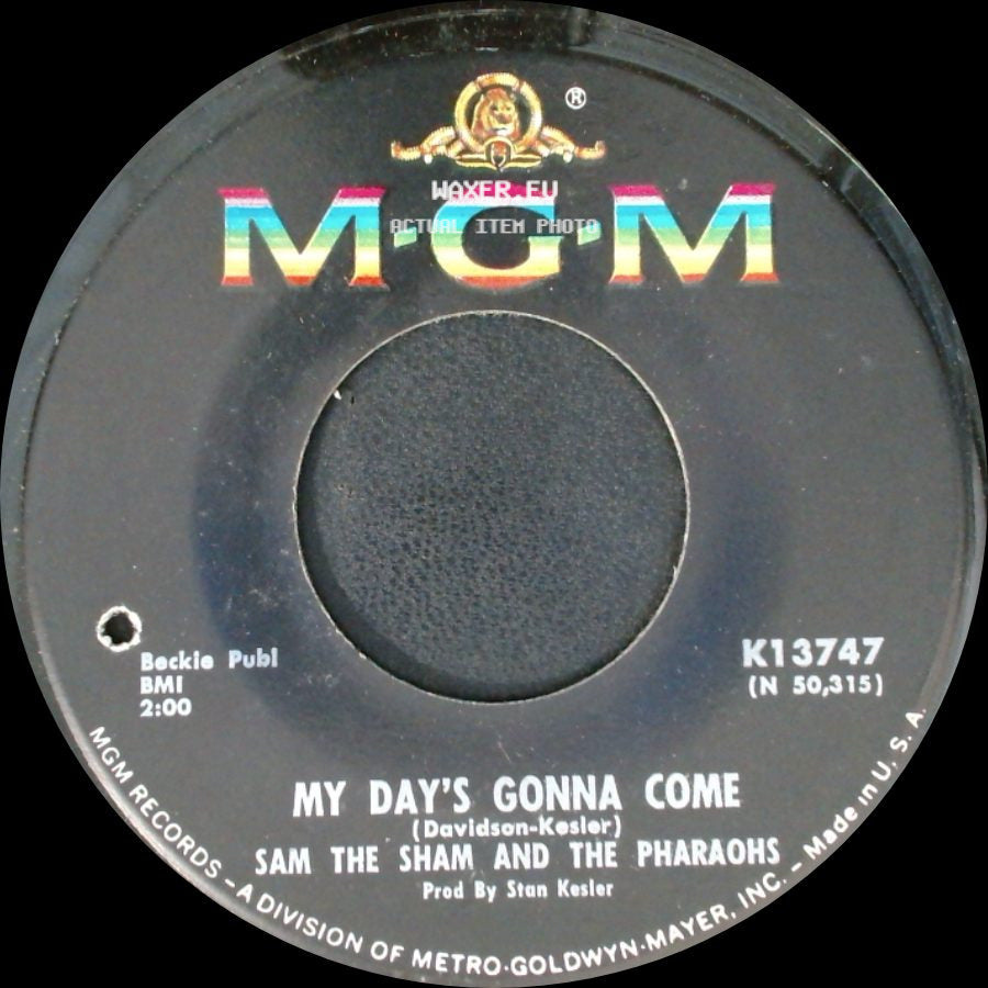 Sam The Sham And The Pharaohs - Black Sheep / My Day's Gonna Come side B
