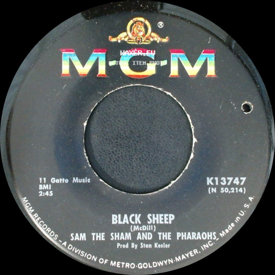 Sam The Sham And The Pharaohs - Black Sheep / My Day's Gonna Come side A
