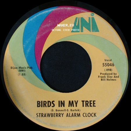 Strawberry Alarm Clock - Tomorrow / Birds In My Tree side B