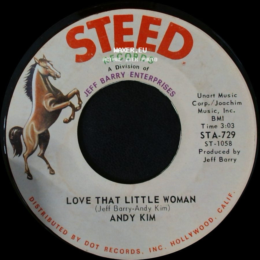 Andy Kim - Love That Little Woman / Be My Baby side A