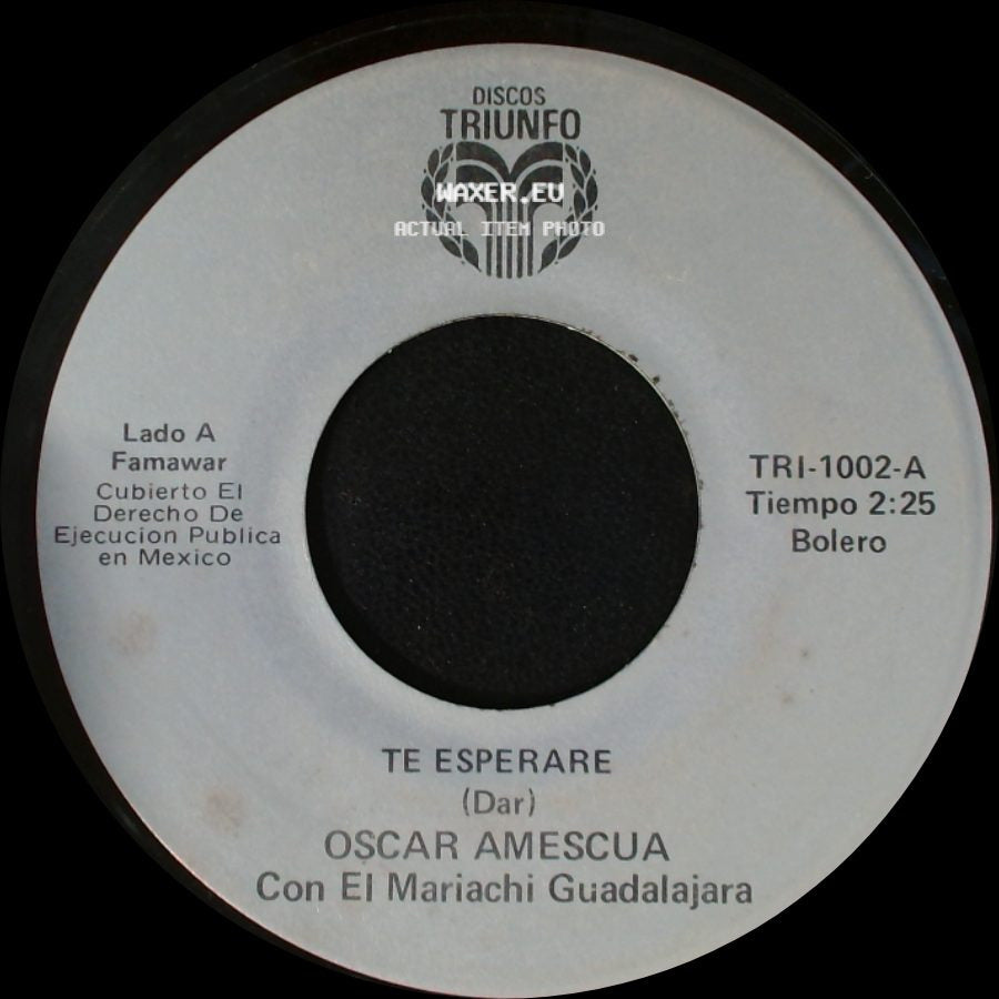 Oscar Amescua Con El Mariachi Guadalajara - Te Esperare / Vida Mia side A