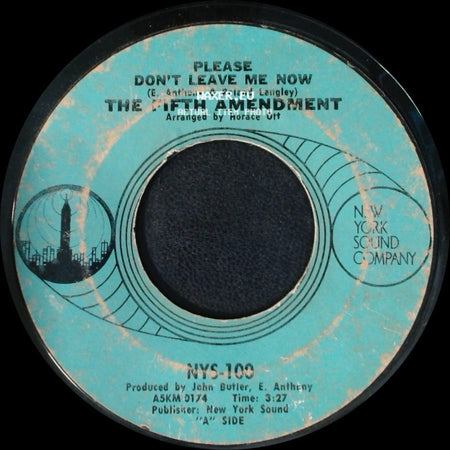 The Fifth Amendment - Please Don't Leave Me Now / Got You Where I Want You side A