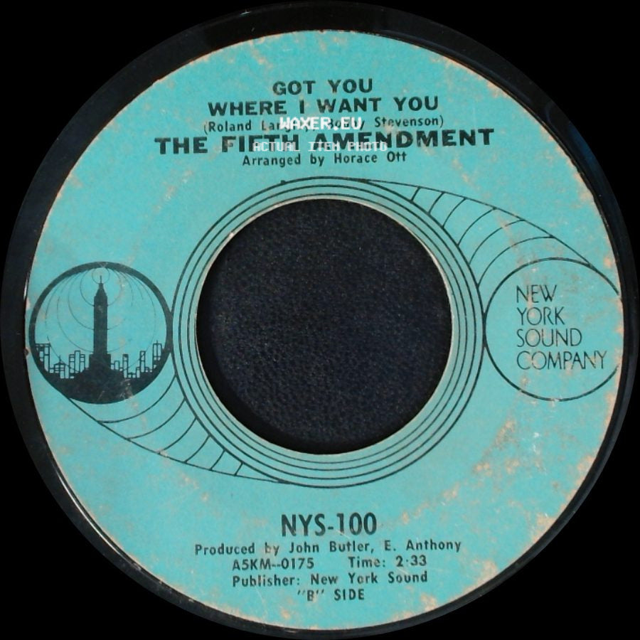 The Fifth Amendment - Please Don't Leave Me Now / Got You Where I Want You side B