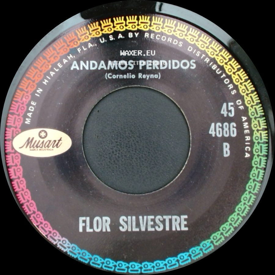 Flor Silvestre - A Besos / Andamos Perdidos side B