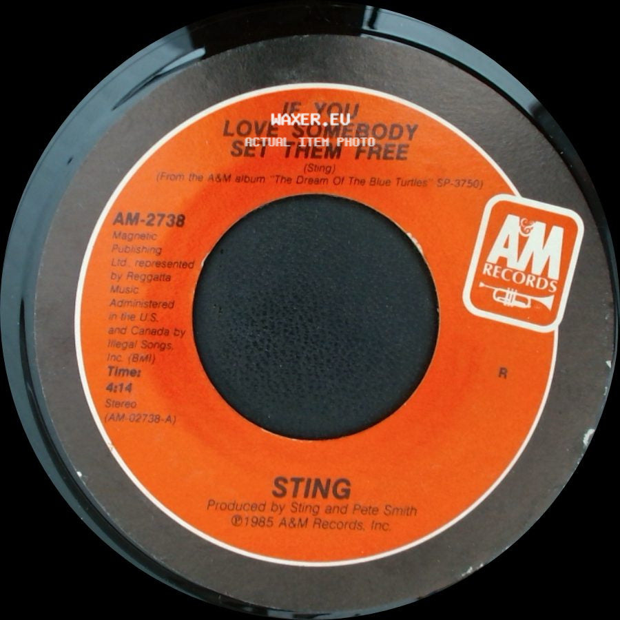 Sting - Another Day / If You Love Somebody Set Them Free side B