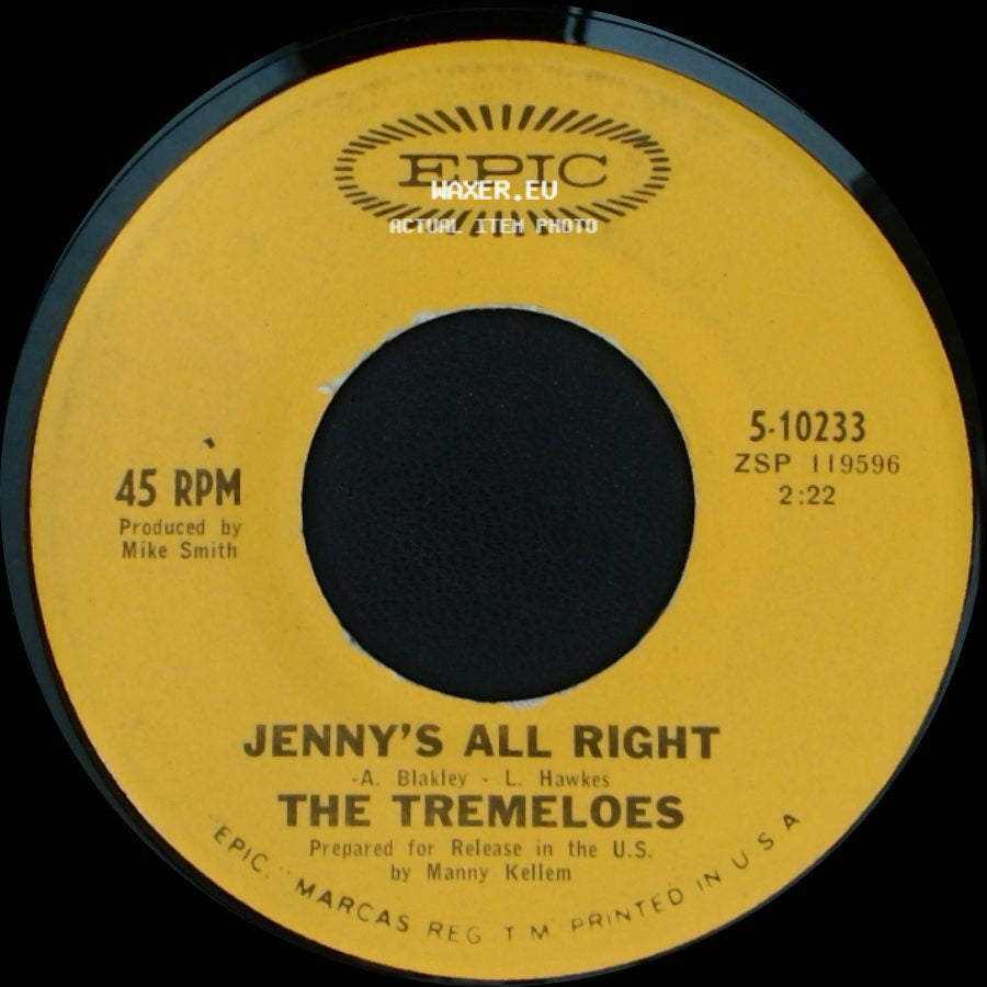 The Tremeloes - Jenny's All Right / Even The Bad Times Are Good side A