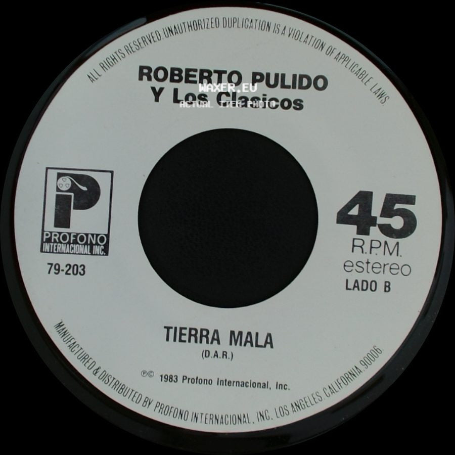 Roberto Pulido Y Los Clasicos - Al Diablo Con Las Mujeres / Tierra Mala side B