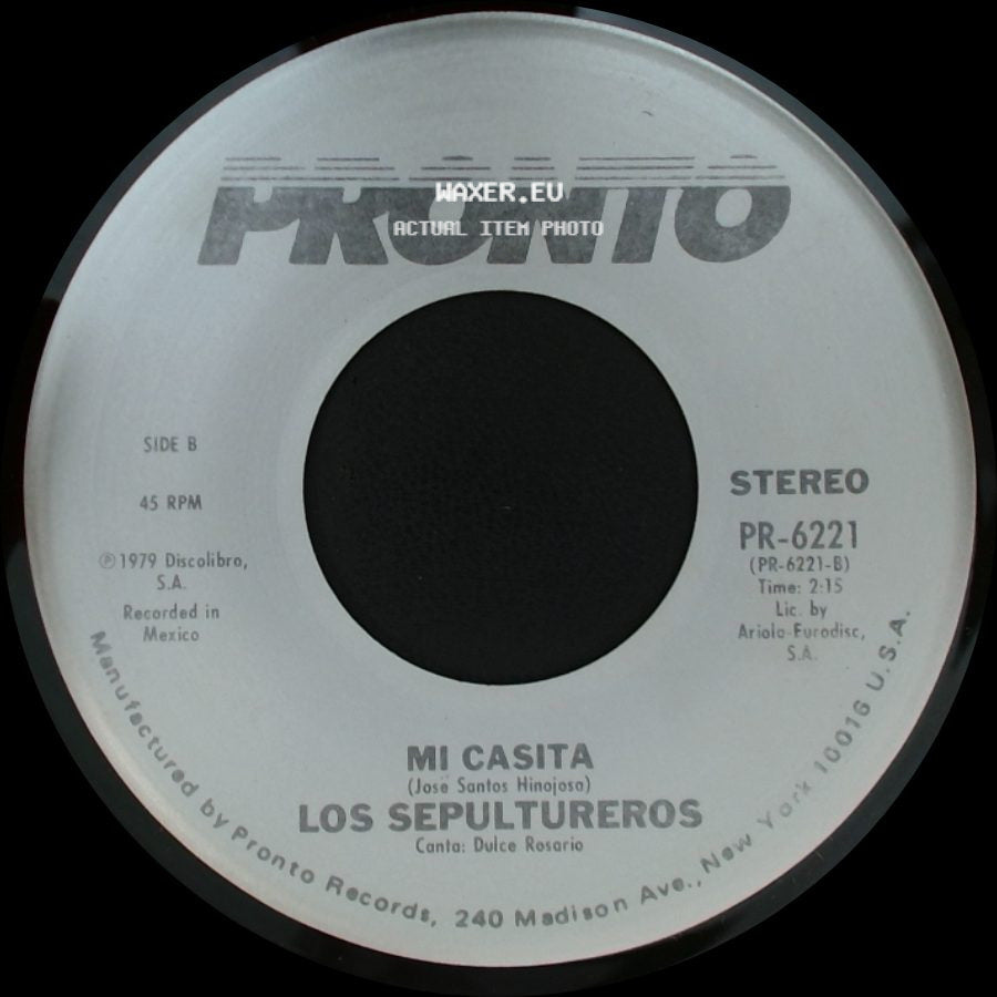 Los Sepultrureros - Cumbia Galactica / Mi Casita side B