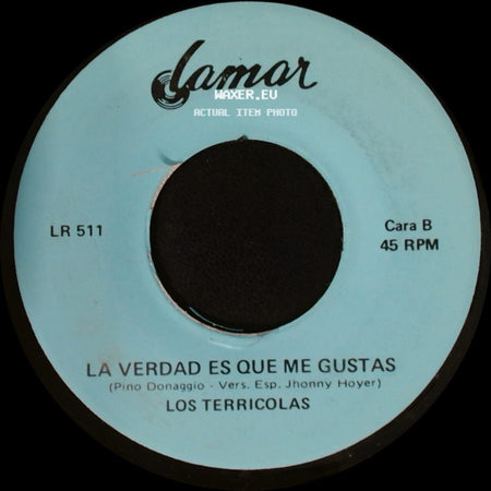 Los Terricolas - Volveras / La Verdad Es Que Me Gustas side B