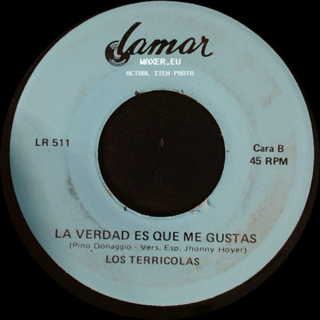 Los Terricolas - Volveras / La Verdad Es Que Me Gustas side B